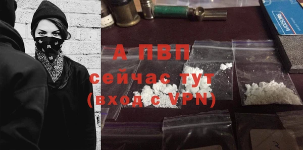 гашик Баксан