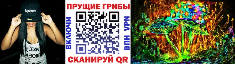 наркошоп  Геленджик  Псилоцибиновые грибы ЛСД 